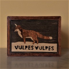 Secret Box Fox Secret Box Fox